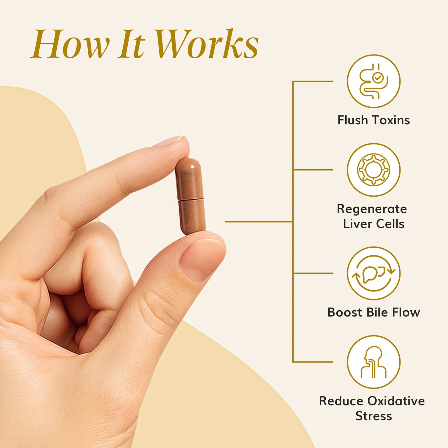 HoneyHours™ Liver Detox – 20-in-1 Cleanse & Repair Formula